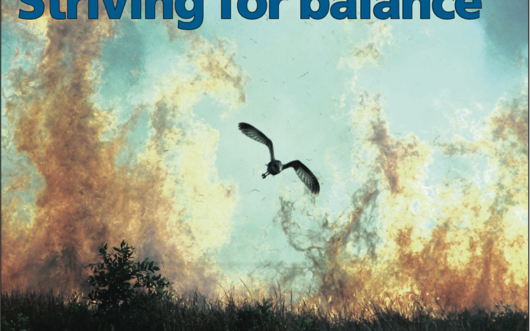 Striving for balance