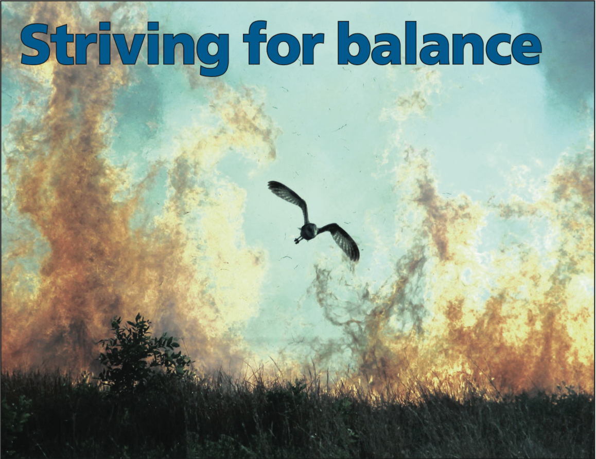Striving for balance