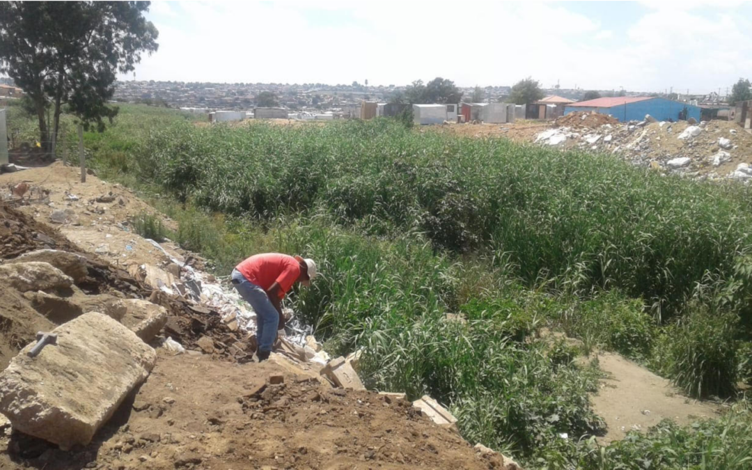 Saving the Kaalfontein Wetland