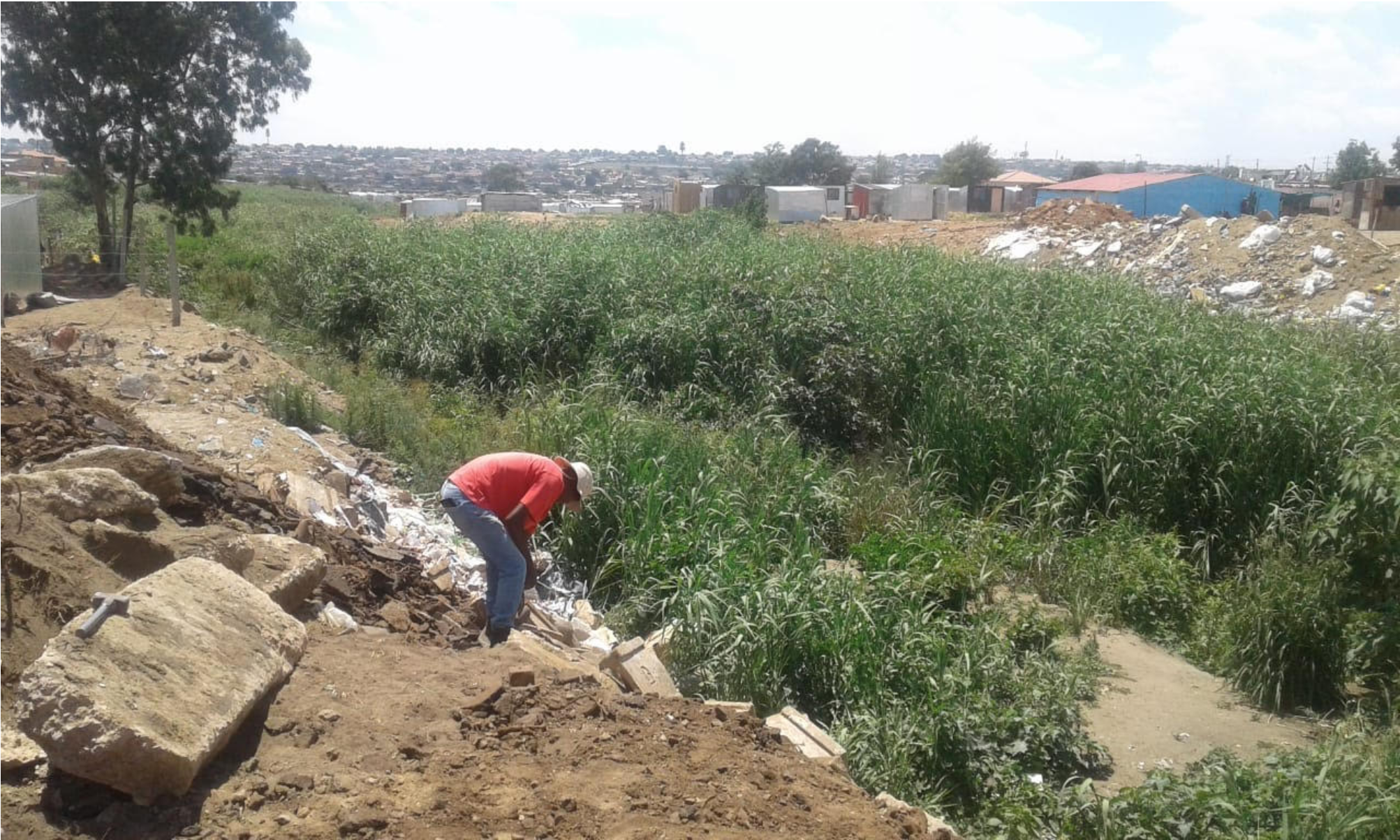 Saving the Kaalfontein Wetland