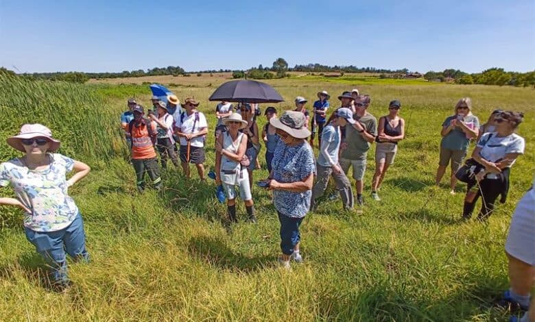 Gekco leads the charge in wetland conservation and education