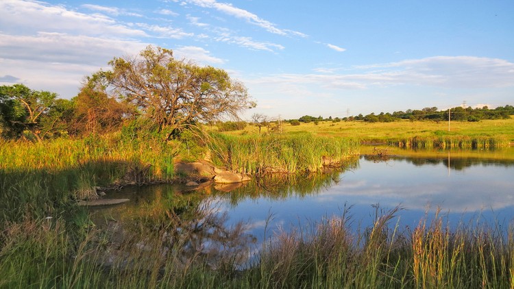 Massive SLAPP suit against environmentalists withdrawn